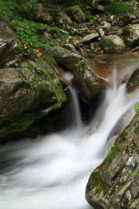 20120616_1.jpg