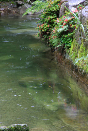 20120616_2.jpg