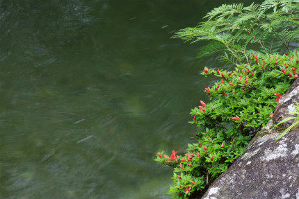 20120616_3.jpg