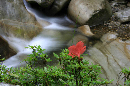 20120616_5.jpg