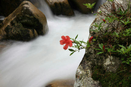 20120616_6.jpg