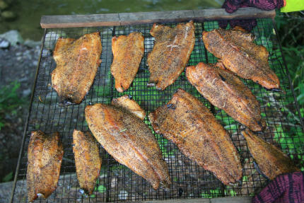 20120617_1.jpg