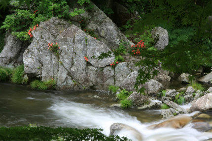20120617_3.jpg