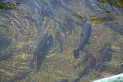 20100425.jpg