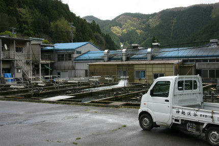 20100428_3.jpg