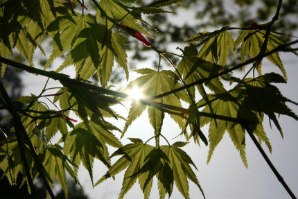 20100429_2.jpg