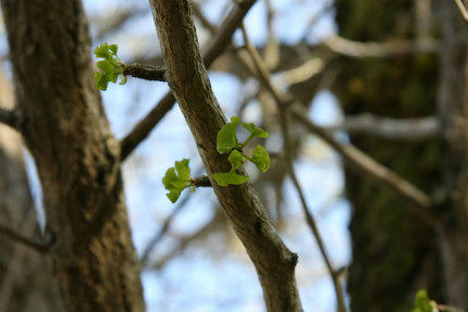 20100429_4.jpg
