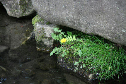 20100504.jpg