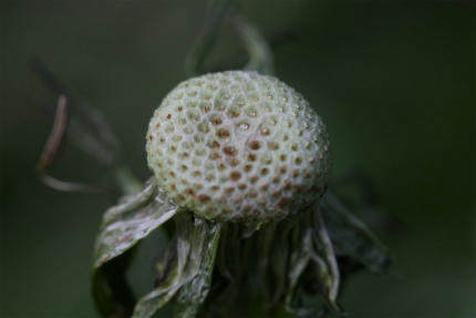 20100509_1.jpg