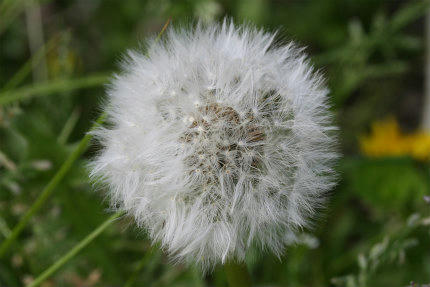20100509_2.jpg