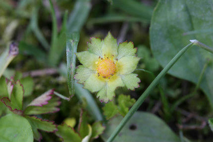 20100509_3.jpg