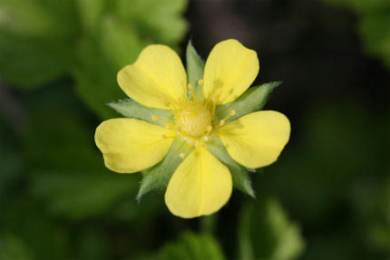 20100509_4.jpg