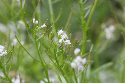 20100509_5.jpg