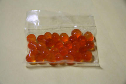 20100510_1.jpg