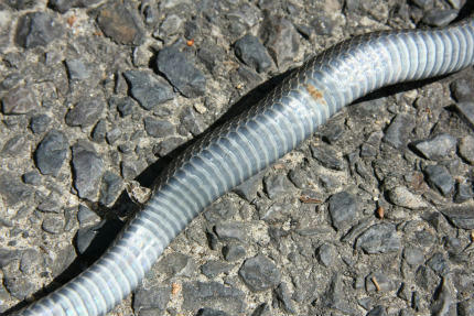 20100515_3.jpg
