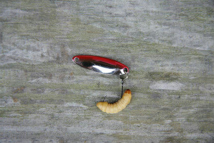 20100515_4.jpg