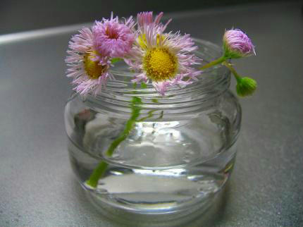 20100511_1.jpg