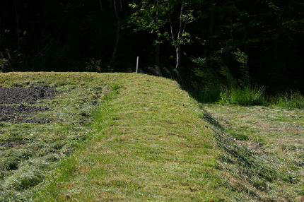 20100514_3.jpg