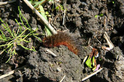 20100514_5.jpg