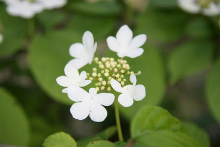 20100516_10.jpg