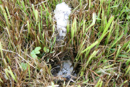 20100519_4.jpg