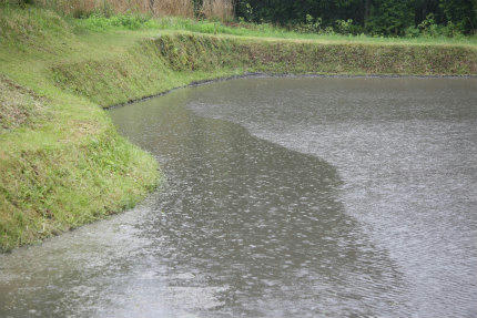 20100519_6.jpg