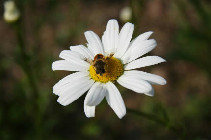20100521_4.jpg