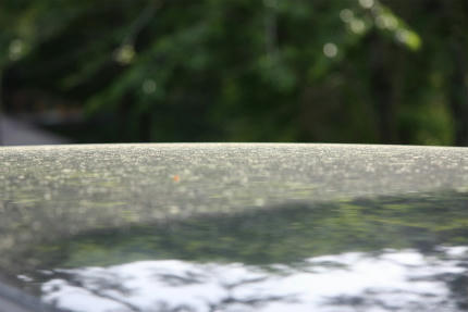 20100521_6.jpg