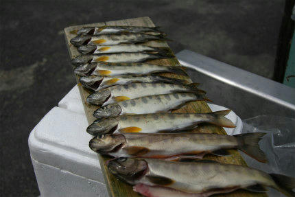 20100522_1.jpg