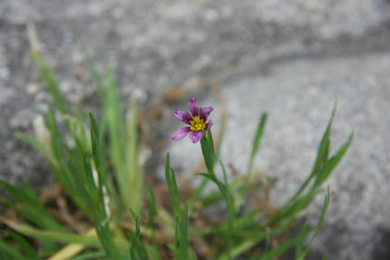 20100522_3.jpg
