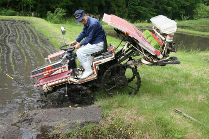 20100525_3.jpg
