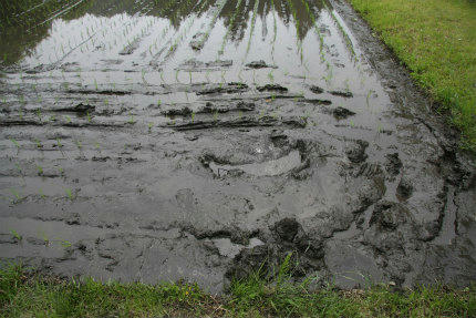 20100525_4.jpg