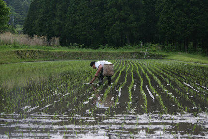 20100525_6.jpg