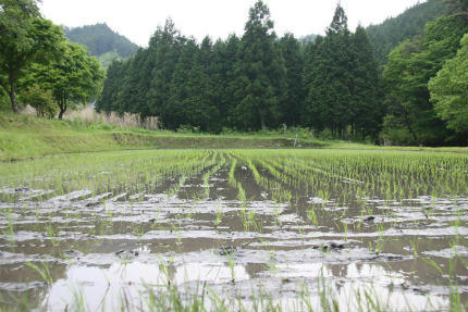 20100525_8.jpg