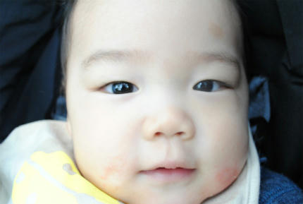20100529_3.jpg