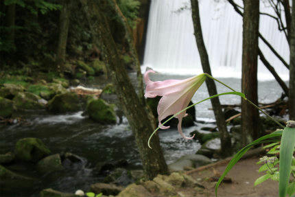 20120625_3.jpg