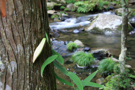 20120625_4.jpg