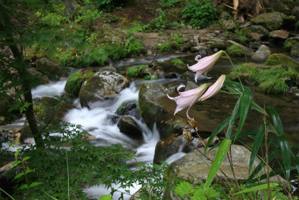 20120626.jpg