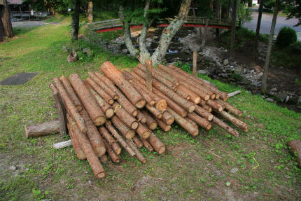 20120629_2.jpg