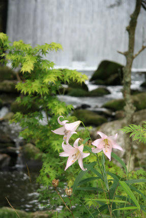 20120630_2.jpg