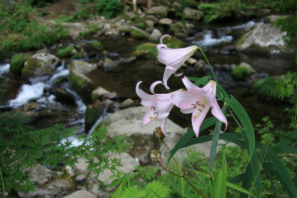 20120630_3.jpg