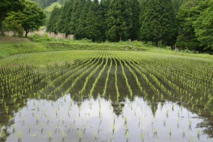 20100606_1.jpg
