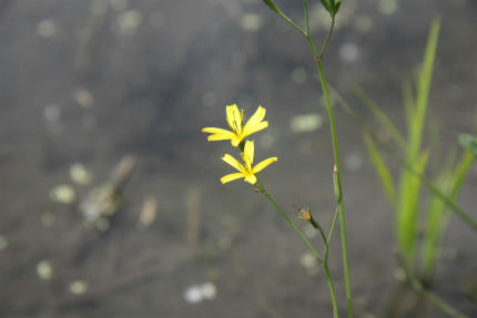 20100606_2.jpg