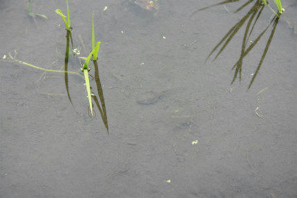 20100606_3.jpg