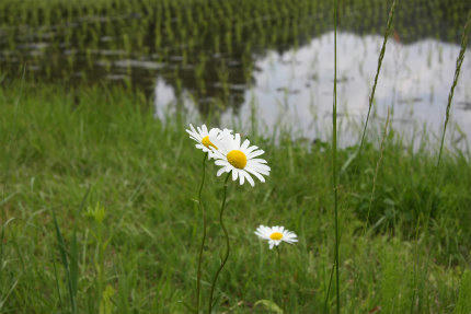 20100606_5.jpg