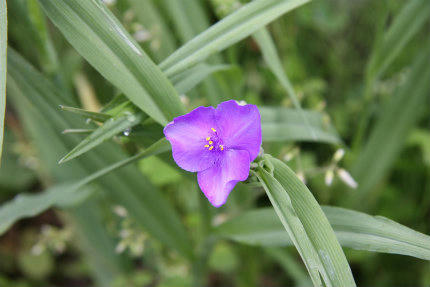 20100606_7.jpg