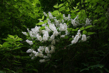20100608_4.jpg