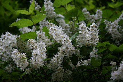 20100608_5.jpg