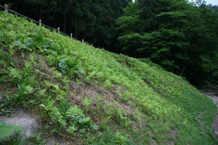 20100611_1.jpg