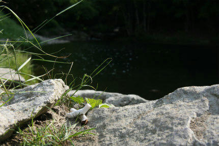 20100612_1.jpg